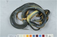 藏品(青蛇)的圖片